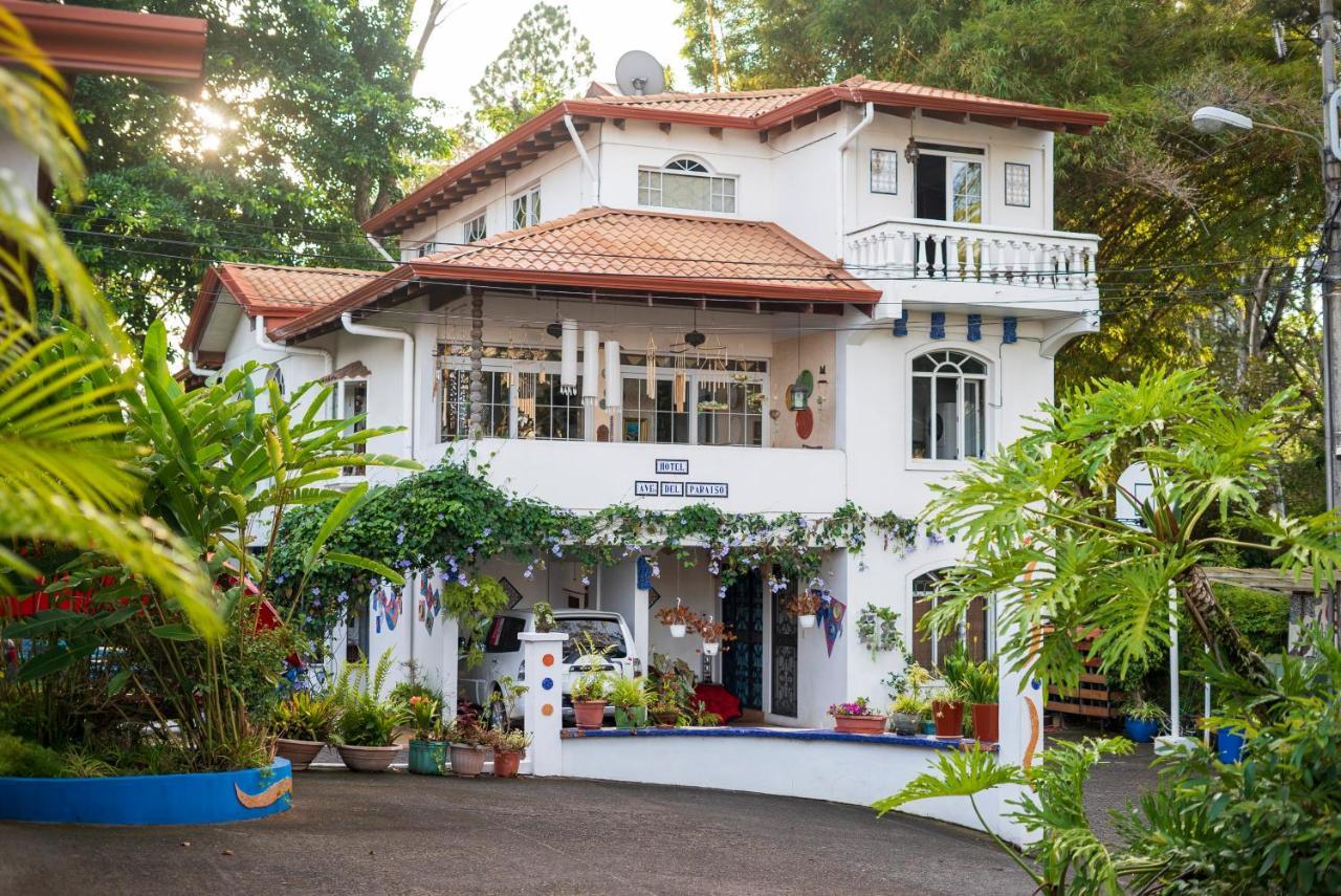 Hotel Ave Del Paraiso San Jose  Exterior photo